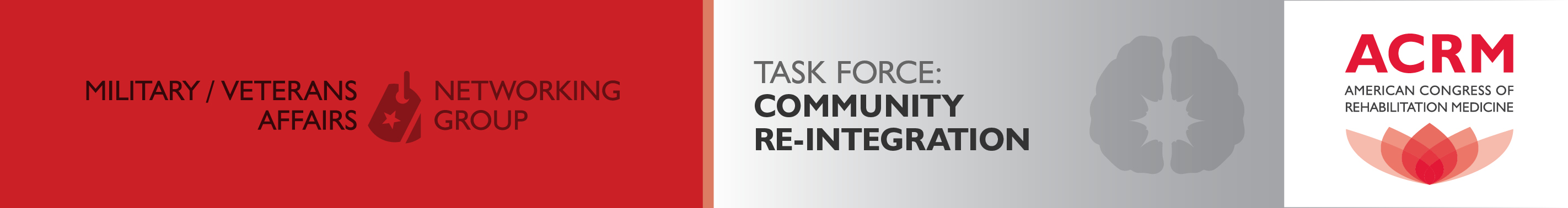 Military / Veterans Affairs Community Re-Integration Task Force banner