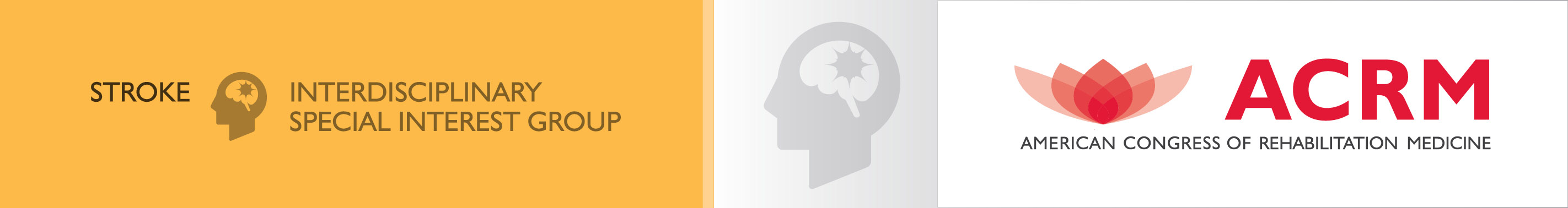 ACRM Stroke Interdisciplinary Special Interest Group banner