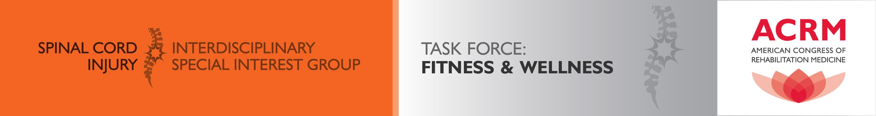 ACRM Spinal Cord Injury ISIG Fitness and Wellness Task Force