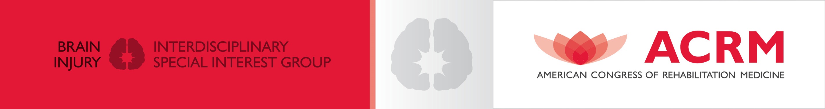 Brain Injury Interdisciplinary Special Interest Group banner