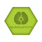 ACRM Neuroplasticity Group