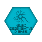 ACRM Neurodegenerative Diseases Networking Group icon