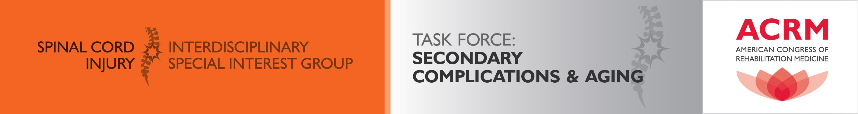 ACRM Spinal Cord Injury ISIG Secondary Complications and Aging Task Force