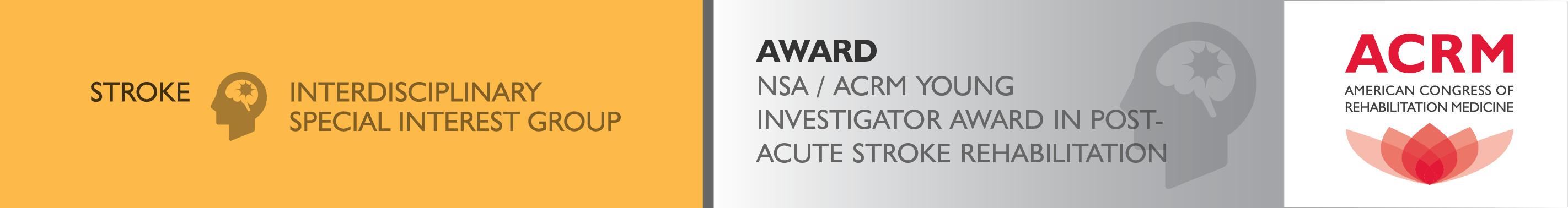 Award NSA / ACRM Young Investigator Award in Post-Acute Stroke Rehabilitation