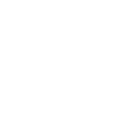 Flickr Icon