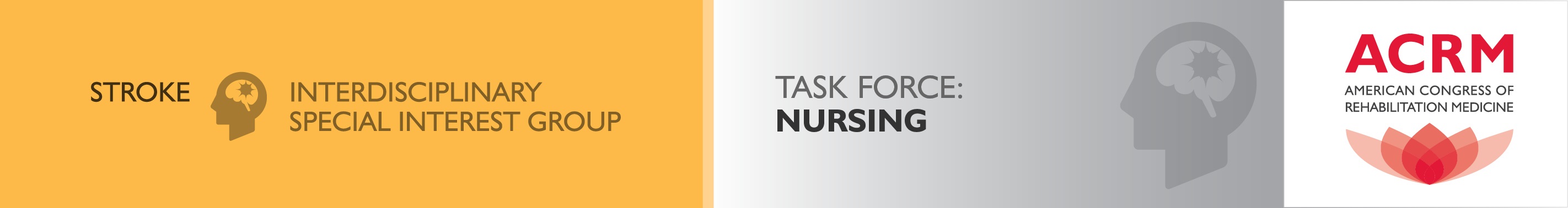 ACRM Stroke ISIG Nursing Task Force banner