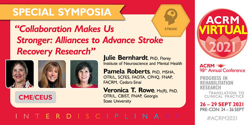 Special Symposium with Julie Bernhardt - image